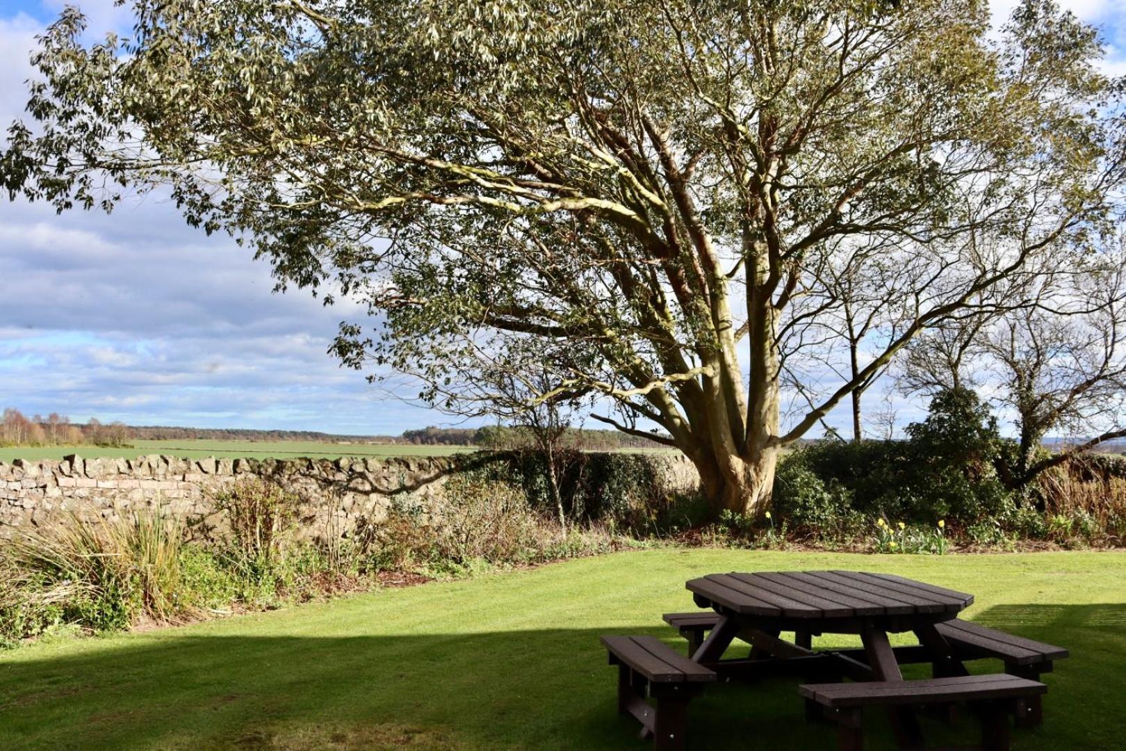 Vicarsford Farmhouse With Hot Tub Leuchars Eksteriør billede